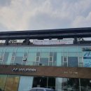 라운지 도그 이미지