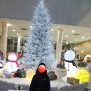 순천만별빛펜션 이미지