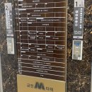 보윤네일
