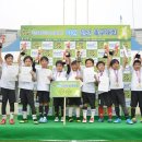 올림픽공원 인조잔디축구장 이미지
