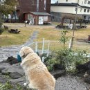 CU씨앤블루점 이미지