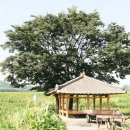 마령주유소 이미지