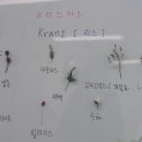 늘봄이음터 동아리실3 이미지