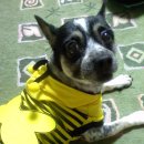 학익고등학교 이미지