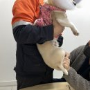 삼호동물병원 이미지