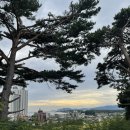 삐꼴로까사 독채펜션 이미지