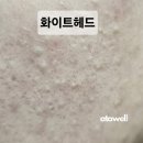 아토웰의원 이미지