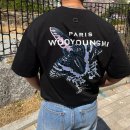 플라이 백