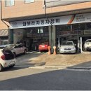 보라모터스 이미지