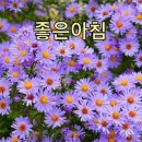금동로 이미지