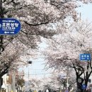 효돈동-2 이미지