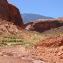 강가의 추억 이미지