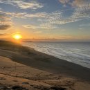 사계절파크여관 | 일본 소도시 안 가면 후회하는 명소 TOP 5