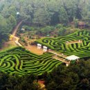 김녕관광지 이미지