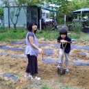 삼차농장 이미지