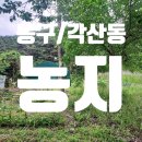 01-23 동구 이미지