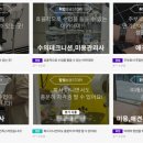 강아지 미용실 이미지