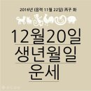 ♧12월 20일 화요일 간추린 아침뉴스 ♧ 이미지