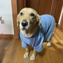 회룡 닭강정 이미지