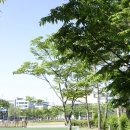 보리약국 이미지