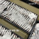 3단 덕자병어/40미참돔/생물아귀판매합니다^^ 이미지