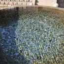 또바기약국 이미지