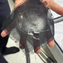 벨벳코리아인천지사 | [인천계양]델핀홈케어 침구청소딘드기제거 케어 한방에해결