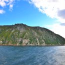 고래메드 이미지