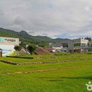 도암천 | [전라남도 강진군] 다향소축