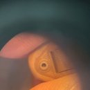 굿모닝보청기 평택서정센터 이미지