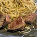 분당-260 이미지