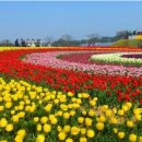 곡성-041 이미지