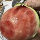 피자스쿨 감삼점 | 피자스쿨 감삼점 오지 치즈포테이토 피자 / 치즈오븐 스파게티 포장 후기