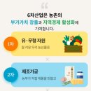 [농촌융합복합산업(6차산업)]포천 산림조합로컬푸드직매장 안테나숍