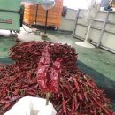쌍둥이농산물 - 울진군 상당1길 131-3 | 쌍둥이농산물