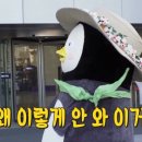 아구마니 이미지