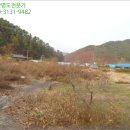 완월동282 이미지