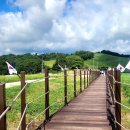 한우목장 이미지