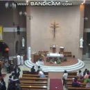 Alleluia (260404 부활성야미사특송) 이미지