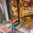 PM 6:00(오후여섯시) 민박 | 피렌체 근교 피사 반일 여행｜기차로 다녀온 피사의 사탑 자유여행