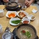 지움제주점 | 제주 우진해장국 후기 고사리육개장 고사리해장국 제주공항맛집 내돈내산
