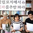 "김구 선생은 동네공원에, 암살 사주범은 국립묘지에? 이미지