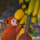 거제경찰서 | 거제 더필리핀 후기 필리핀 감성 듬뿍 거제 속 해외여행 느낌