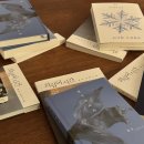 보고피드 이미지