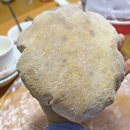 산동만두 - 마포구 도화길 22-10 | 산동만두