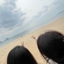 완도해양치유센터카페