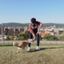 챔피언 애견농장 이미지