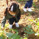 윤서농장 이미지