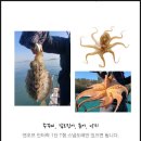 블루넷 | 적절한 단차와 튼튼한 내구성이 인상적이에요! [블루넷21] 쭈꾸미낚시채비