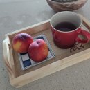 목공가구 만들기 | 원목트레이 송주공방 DIY목공체험키트로 간식쟁반만들기
